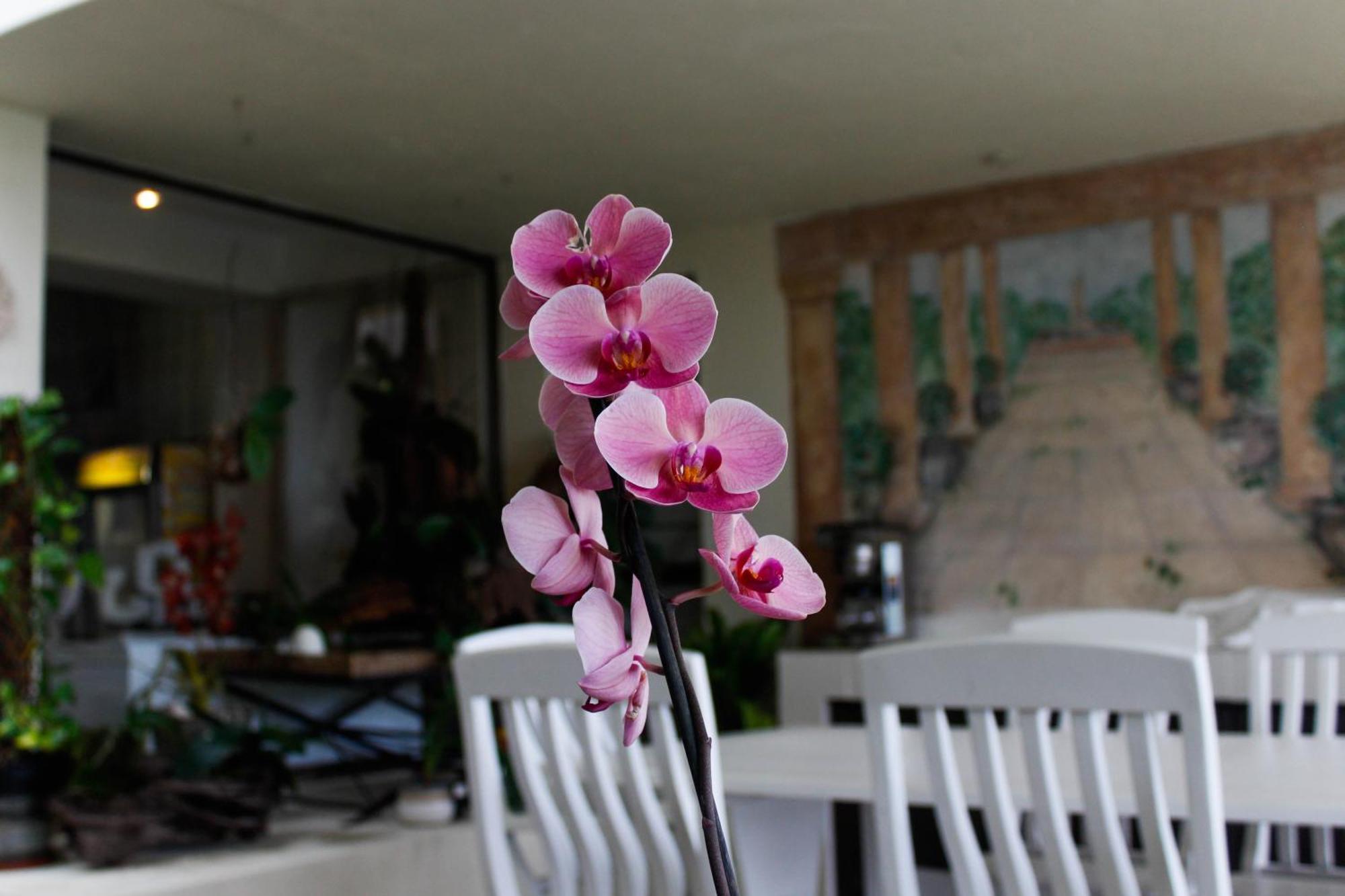 La Dolce Vita Umhlanga Guesthouse 德班 外观 照片