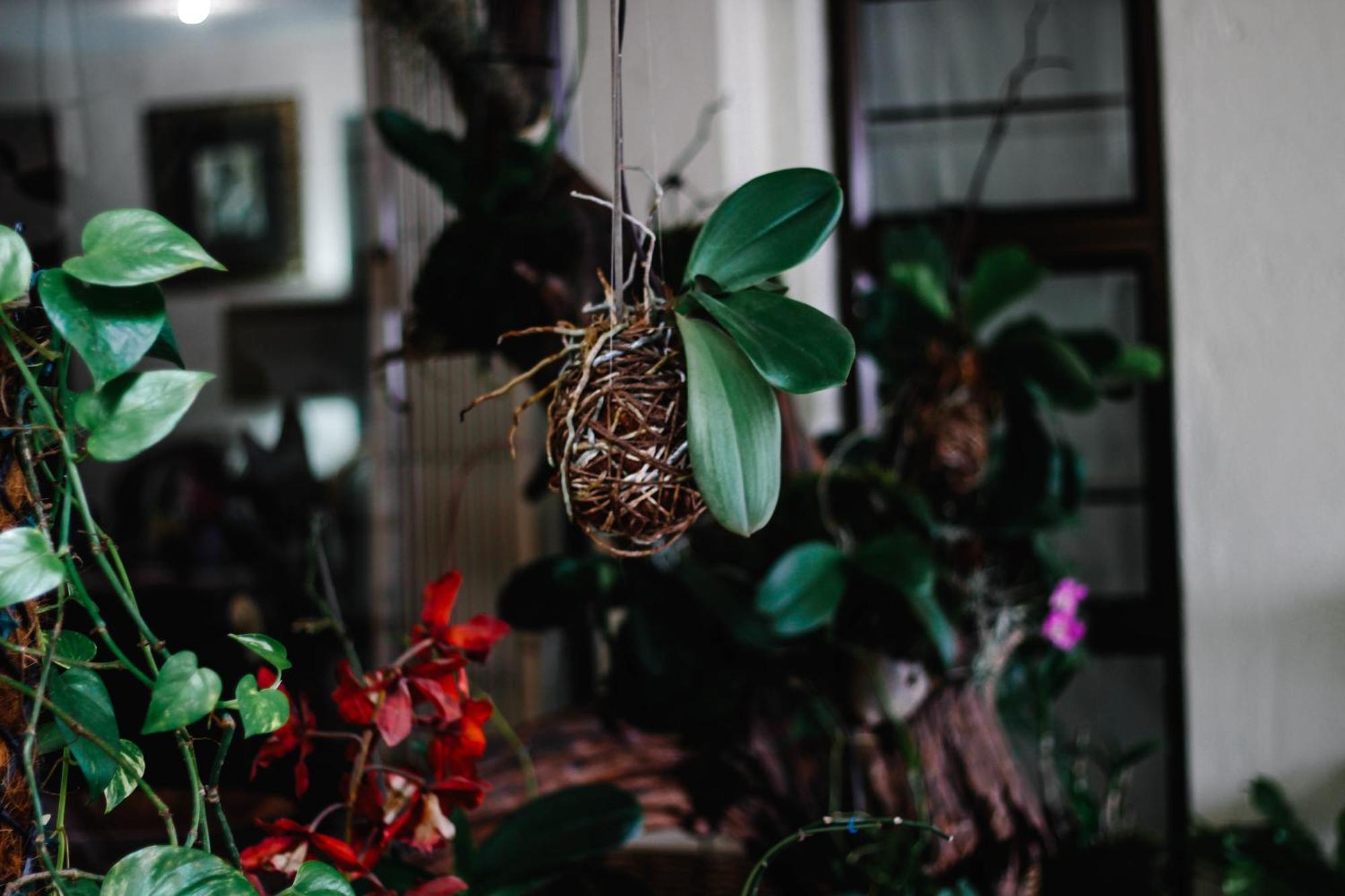 La Dolce Vita Umhlanga Guesthouse 德班 外观 照片