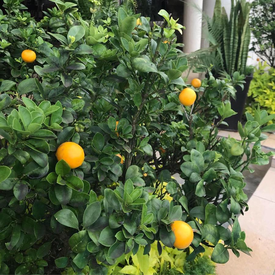 La Dolce Vita Umhlanga Guesthouse 德班 外观 照片